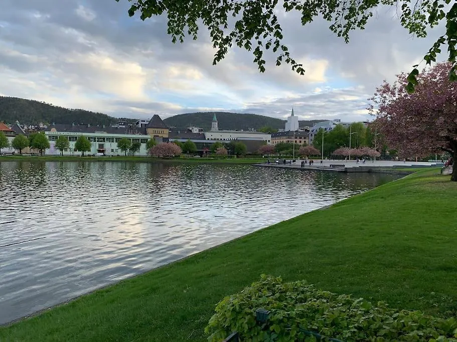 Daire Moderne Og Fullt Utstyrt 3-Rom Hageleilighet Sentrum Naer Bergen Norveç